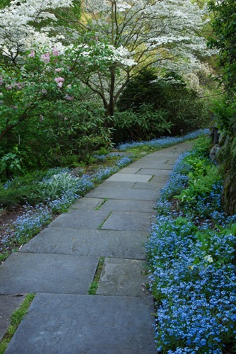 Reeves-Reed Arboretum, Union County, NJ 05 11 (6491SA).jpg